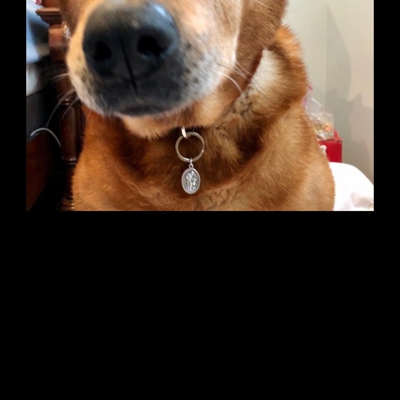 Sterling plated 18” chain with a crucifix and a St Francis medal. - Picture 4 of 10